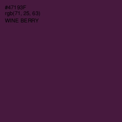 #47193F - Wine Berry Color Image