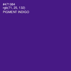 #471984 - Pigment Indigo Color Image