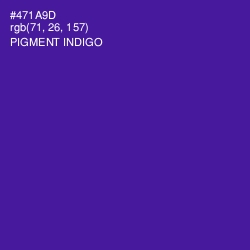 #471A9D - Pigment Indigo Color Image