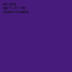 #471B7B - Honey Flower Color Image