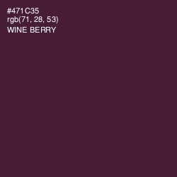 #471C35 - Wine Berry Color Image