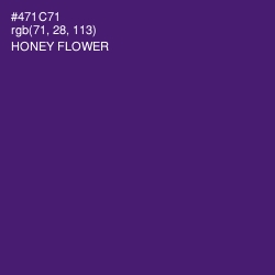 #471C71 - Honey Flower Color Image