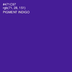 #471C97 - Pigment Indigo Color Image