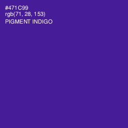#471C99 - Pigment Indigo Color Image