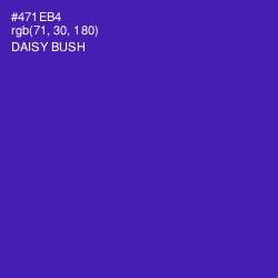 #471EB4 - Daisy Bush Color Image