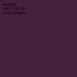 #47203E - Livid Brown Color Image