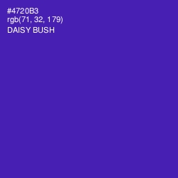 #4720B3 - Daisy Bush Color Image