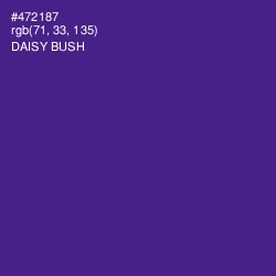 #472187 - Daisy Bush Color Image