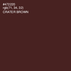 #472220 - Crater Brown Color Image