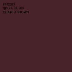 #472227 - Crater Brown Color Image