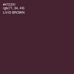 #472231 - Livid Brown Color Image