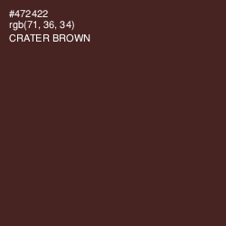 #472422 - Crater Brown Color Image