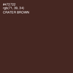 #472722 - Crater Brown Color Image