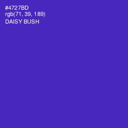 #4727BD - Daisy Bush Color Image