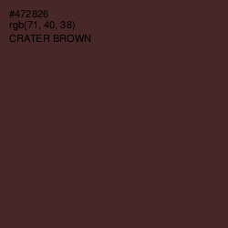 #472826 - Crater Brown Color Image