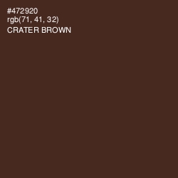 #472920 - Crater Brown Color Image