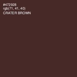 #472928 - Crater Brown Color Image