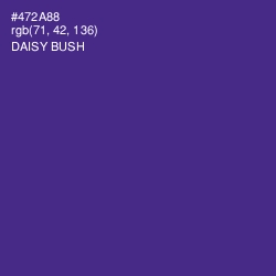 #472A88 - Daisy Bush Color Image
