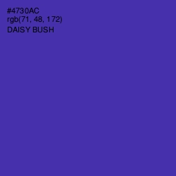 #4730AC - Daisy Bush Color Image