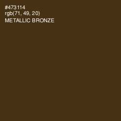 #473114 - Metallic Bronze Color Image