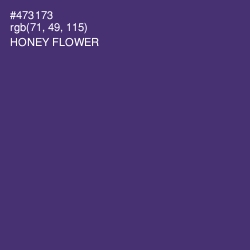 #473173 - Honey Flower Color Image