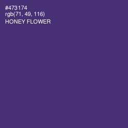 #473174 - Honey Flower Color Image