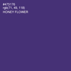 #473176 - Honey Flower Color Image