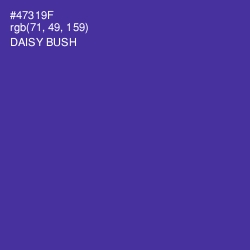 #47319F - Daisy Bush Color Image