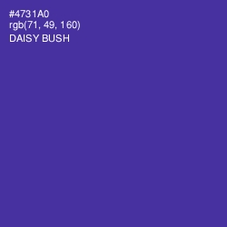 #4731A0 - Daisy Bush Color Image