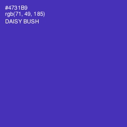 #4731B9 - Daisy Bush Color Image