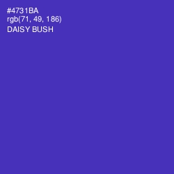 #4731BA - Daisy Bush Color Image