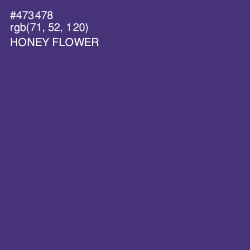 #473478 - Honey Flower Color Image