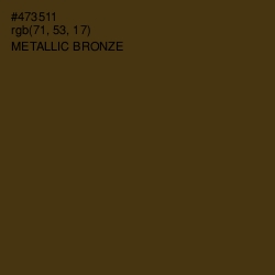 #473511 - Metallic Bronze Color Image