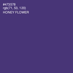 #473578 - Honey Flower Color Image