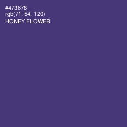 #473678 - Honey Flower Color Image