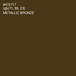 #473717 - Metallic Bronze Color Image