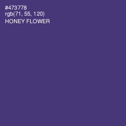 #473778 - Honey Flower Color Image