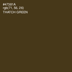 #47381A - Thatch Green Color Image