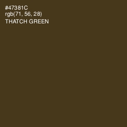 #47381C - Thatch Green Color Image