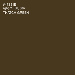 #47381E - Thatch Green Color Image