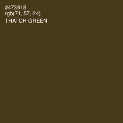 #473918 - Thatch Green Color Image