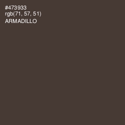 #473933 - Armadillo Color Image