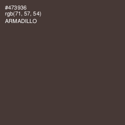 #473936 - Armadillo Color Image