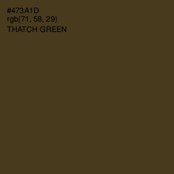 #473A1D - Thatch Green Color Image