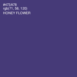 #473A78 - Honey Flower Color Image