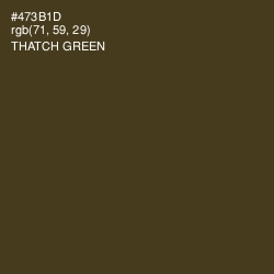 #473B1D - Thatch Green Color Image