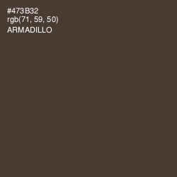 #473B32 - Armadillo Color Image