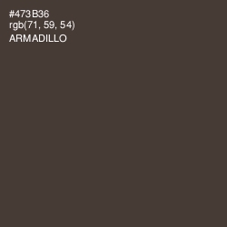 #473B36 - Armadillo Color Image