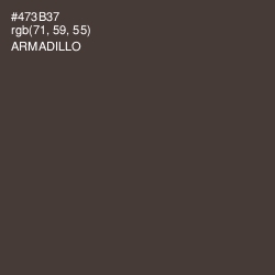 #473B37 - Armadillo Color Image