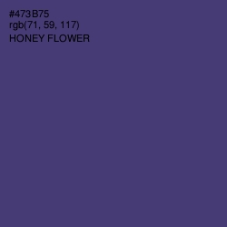 #473B75 - Honey Flower Color Image